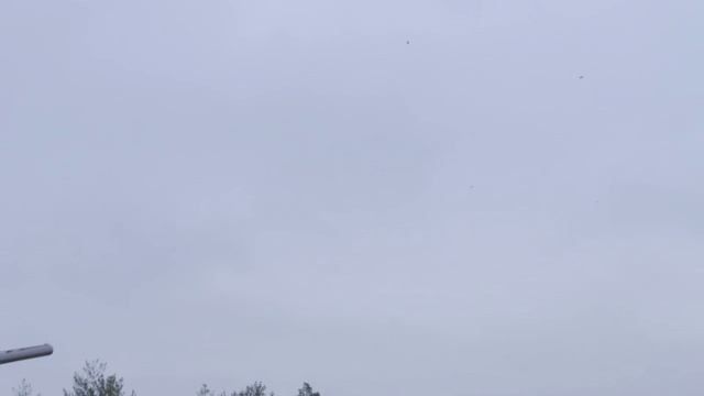 ���� ���������� ���������� �����: ��������� ��������������� ����