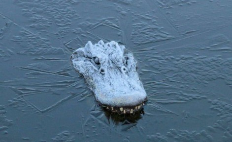 ������� ������: ����� ������. ����� :. -������, ��� ��� �� �����-�� �����������, ������ ��� ��� ��������� �����