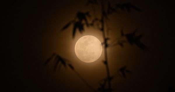 ����� ������: RAND Corporation: ���� ������������� ����� ��� ������������� �������� ����!