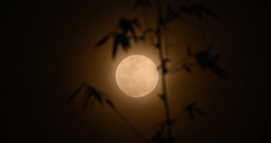 ����� ������: RAND Corporation: ���� ������������� ����� ��� ������������� �������� ����!