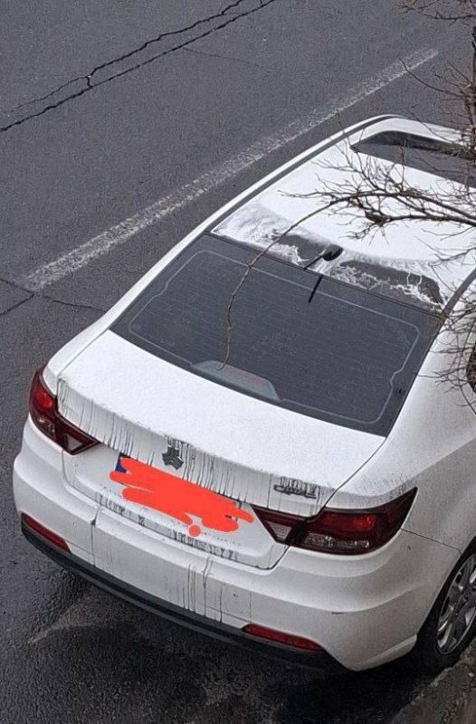 ����� � �������� ������ "�������� �����"