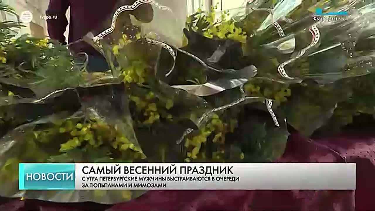 В цветочных лавках Петербурга царит ажиотаж – мужчины с утра выстраиваются за тюльпанами и мимозами