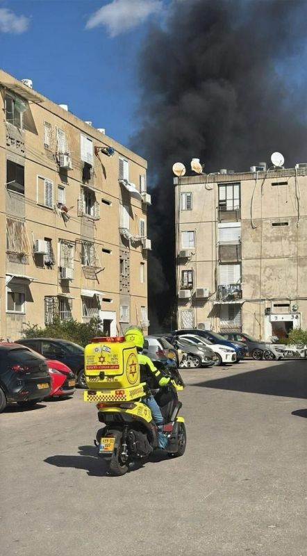 � ���� ����� ���� ������