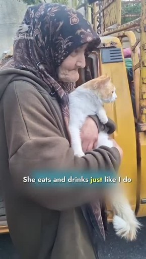 «В стране дутого пиара, люксовых брендов и показной роскоши» кризис душ: Брошенными оказались сотни домашних животных