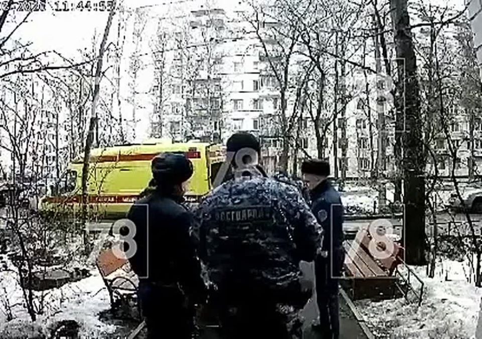 ������ ���� �������: ������������ ������� ��������� ���� ������� �� 9 ����� � ��������� ������