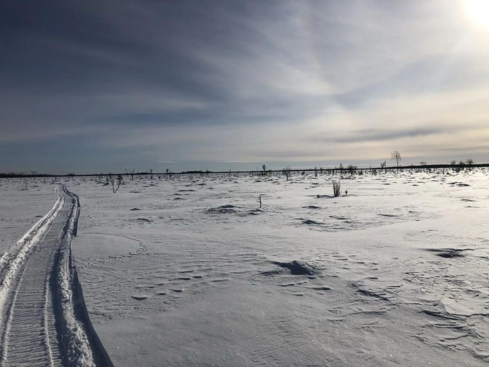 ���������� ���� ���� ������� ���� � ��������� ��������� ������