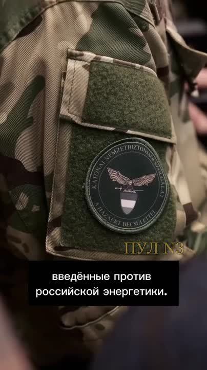 ����� �������� ���������� ������