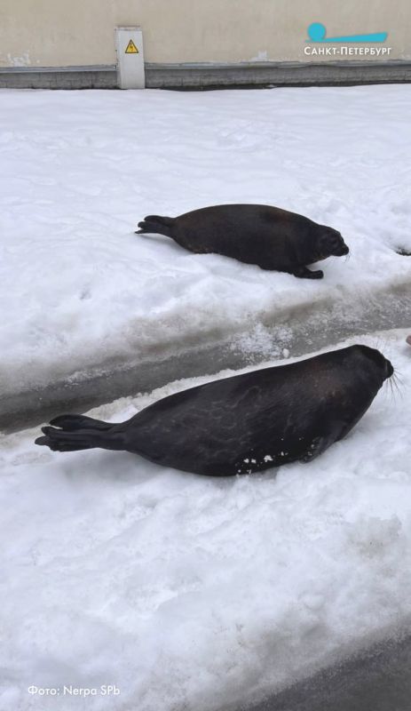 ����� �������� � �����, � ������� ������������� ������ � ������ � ������� � ������� ��������� � ������ ������� � ������� �������