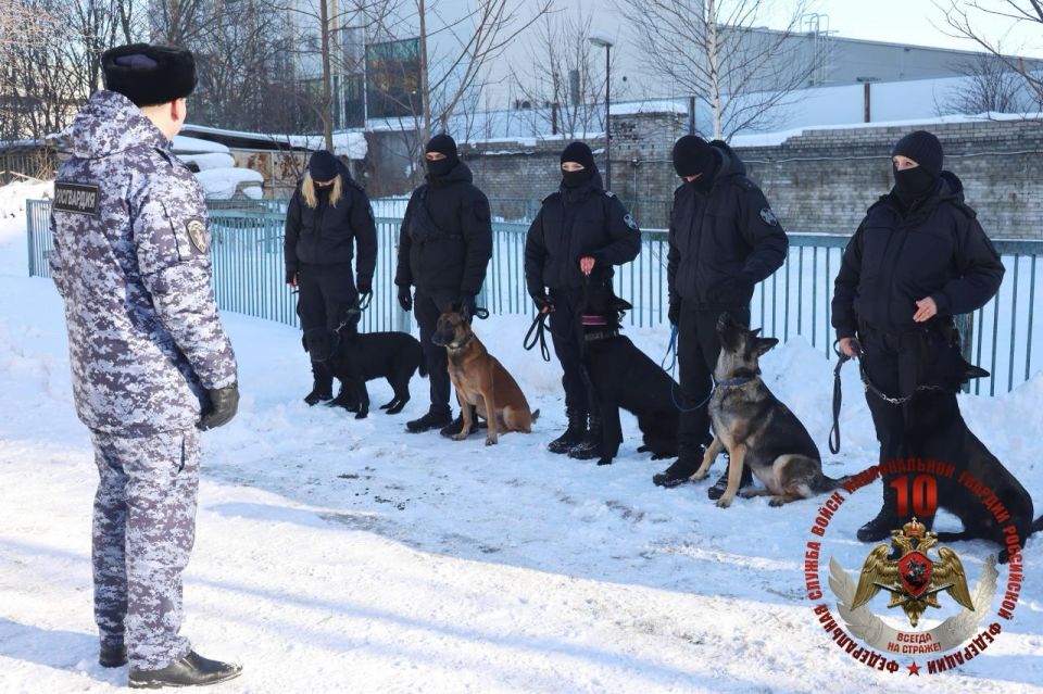 ���������� ��������� ����������������� ��������� ����� � ���������� � ����������