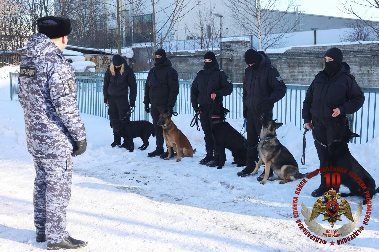 Росгвардия проверила натренированность служебных собак в Петербурге и Ленобласти