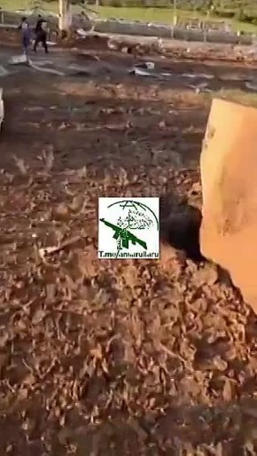 ��� ����� ������������� ��������� ������� �������