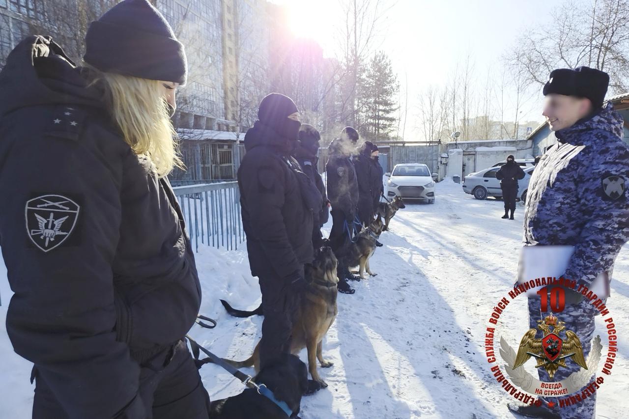 Росгвардия проверила натренированность служебных собак в Петербурге и Ленобласти Росгвардия проверила натренированность служебных собак в Петербурге и Ленобласти