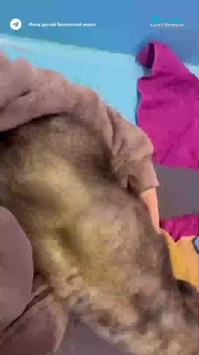 � ����� ������ ���������� ����� ����������, ��� ���������� ������������ ������� �� �������