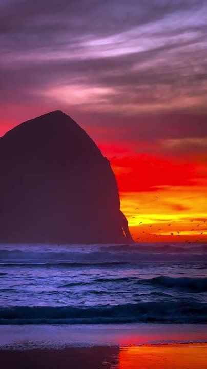 ��������� ����, ������!. ������