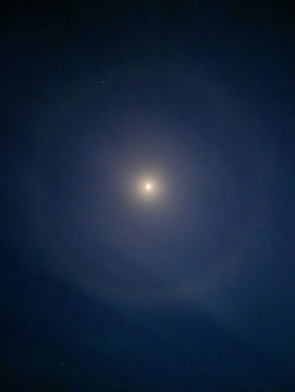 ������� ���� ���������� ���������� ������� ������������ ���������