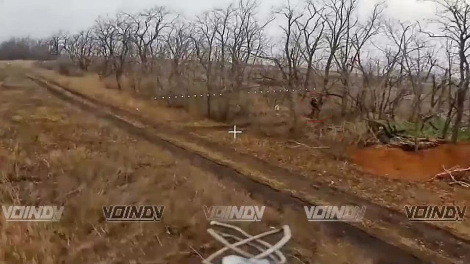 ������ ���������� ���� 35 ����� ����������� ����� "������" �� ����������� ������� ����� � ����� ���� ���������� �� ����������� �����������