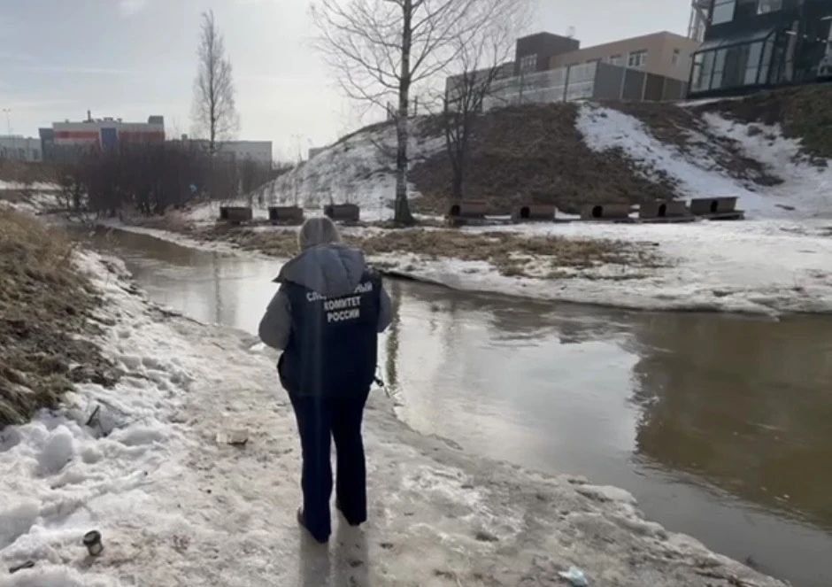 � ������� ������ ���������� ���� �������