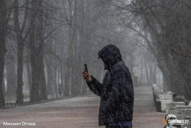 � 2028 ���� ���������� �������� ����� �������� ���������� �� ����������� � ������� ����