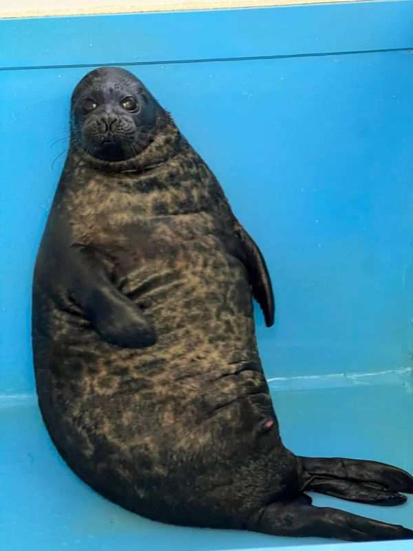 ����� ������ � ������� ��������� � ������ �������