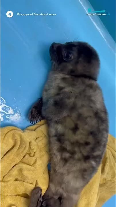 �� ������ ������ ������ ��� ���� ������������ ��������