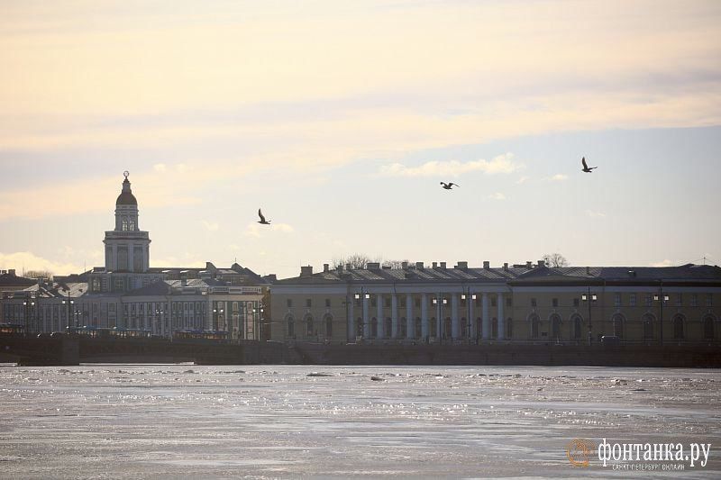 ����� ������ ���������� � ���������