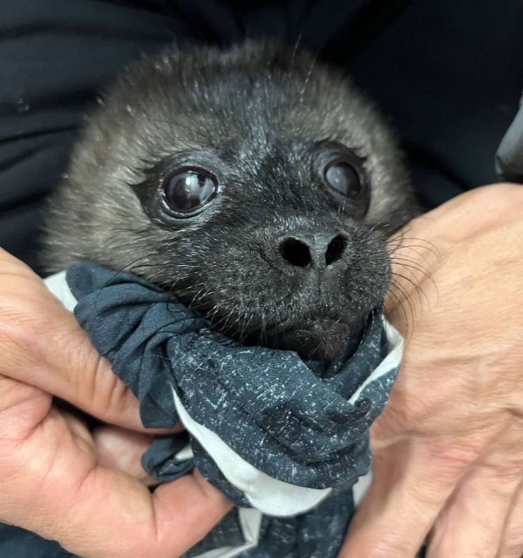 ������� �������� ������ �� ��������� �����