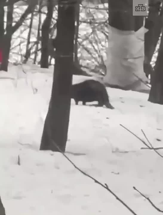 ����� � ������ ����� ���������� ����������� �� ������