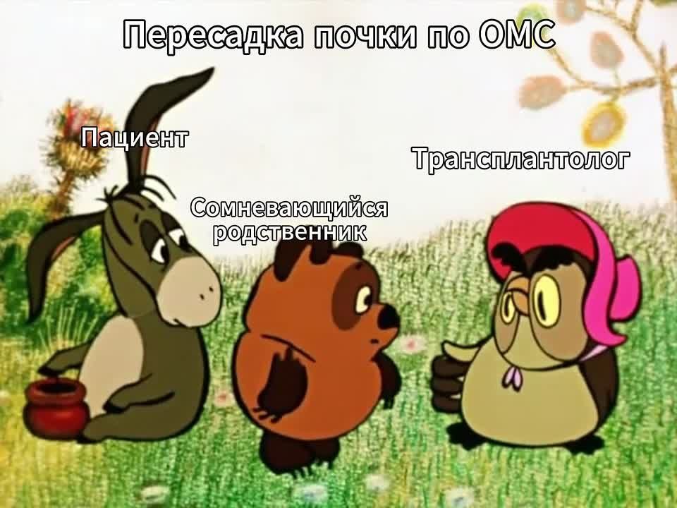 «Под ключ» и безвозмездно: В России начали делать операции по пересадке почек по ОМС
