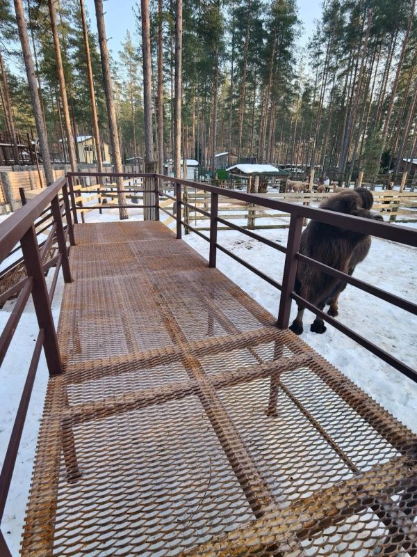 � ��������� �� �������� ��������� ���������� � ������� ������