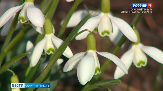 � ������������ ���� ������������ ����������