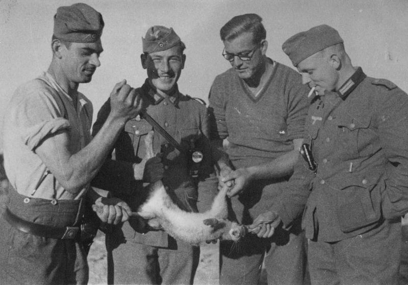 «Сила есть ума не надо»: жители Белгородской области жалуются на массовые издевательства ВСУ