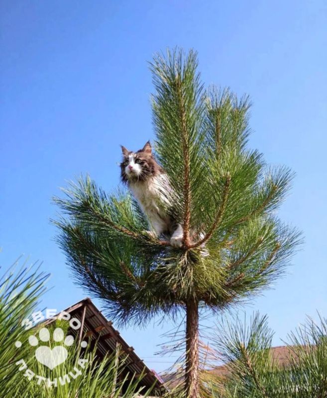 � �� ��������, ��� ������� ��������� ��� ������, � ����� � �����?