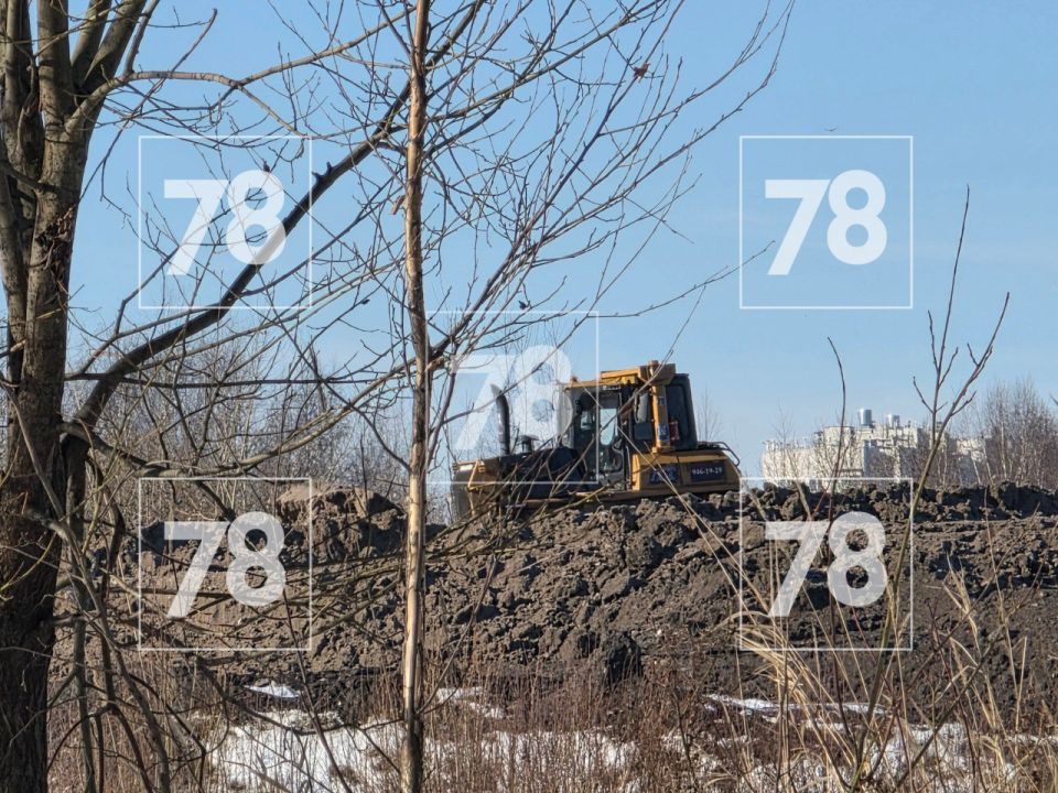 В Красногвардейском районе разрастается полигон грязного снега