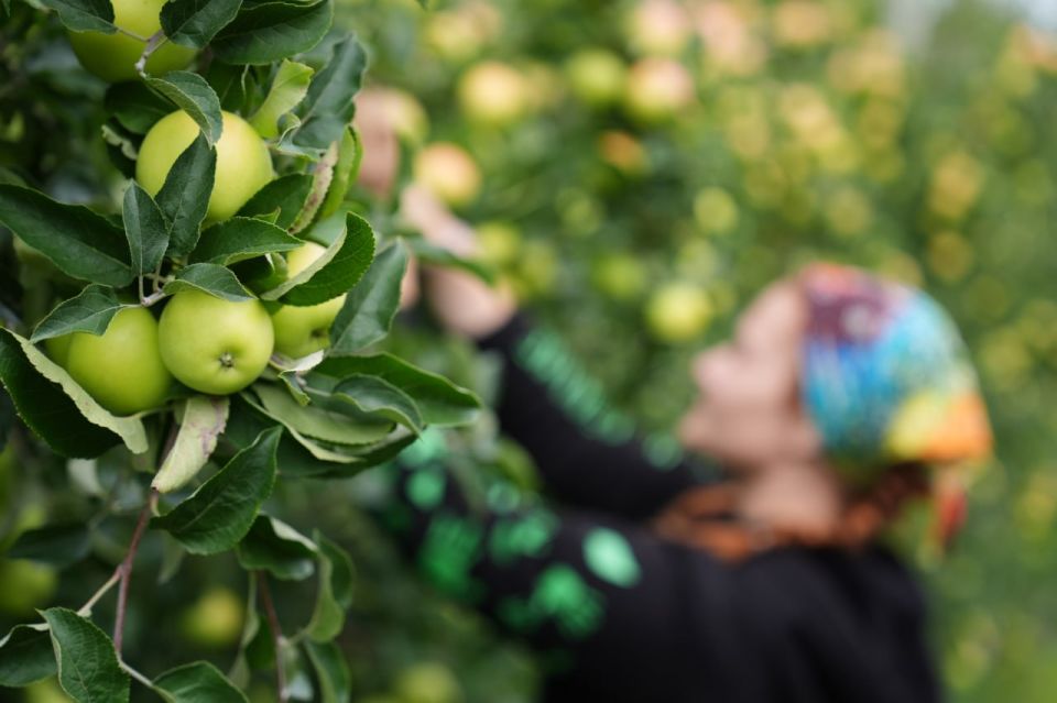 � ���� �������� ����� ���� �� ������ � ���������� � ����������� ��������