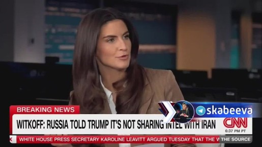 ������� ������ ������� ���� ����������� ������ ���� �������������