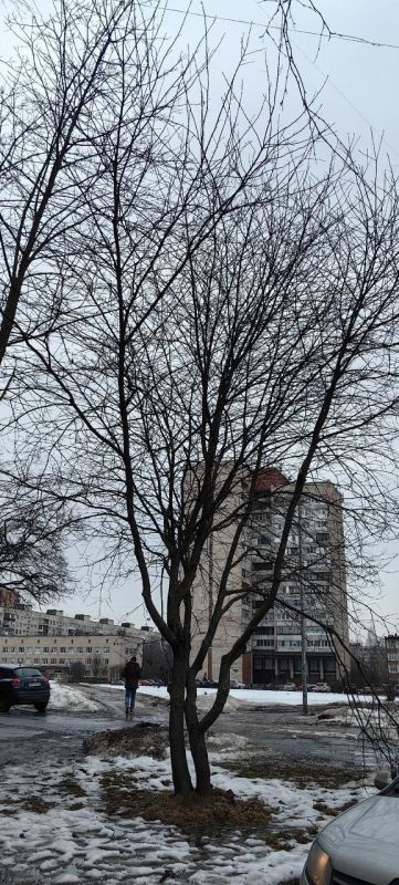 � ���������� ������ �����, ������������� � ������ �� ������