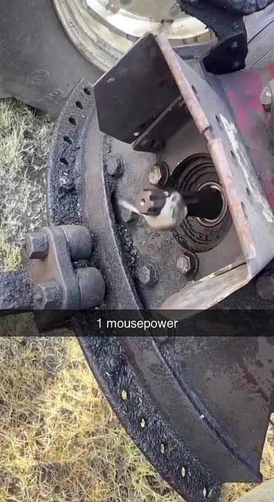 Иногда лучше не спрашивать, как что-то работает