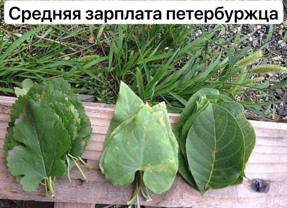 ������� ���������� ����� �� �������� ���������� ������ �������� ��������, ������ ������������ ���������� ��������� ��������