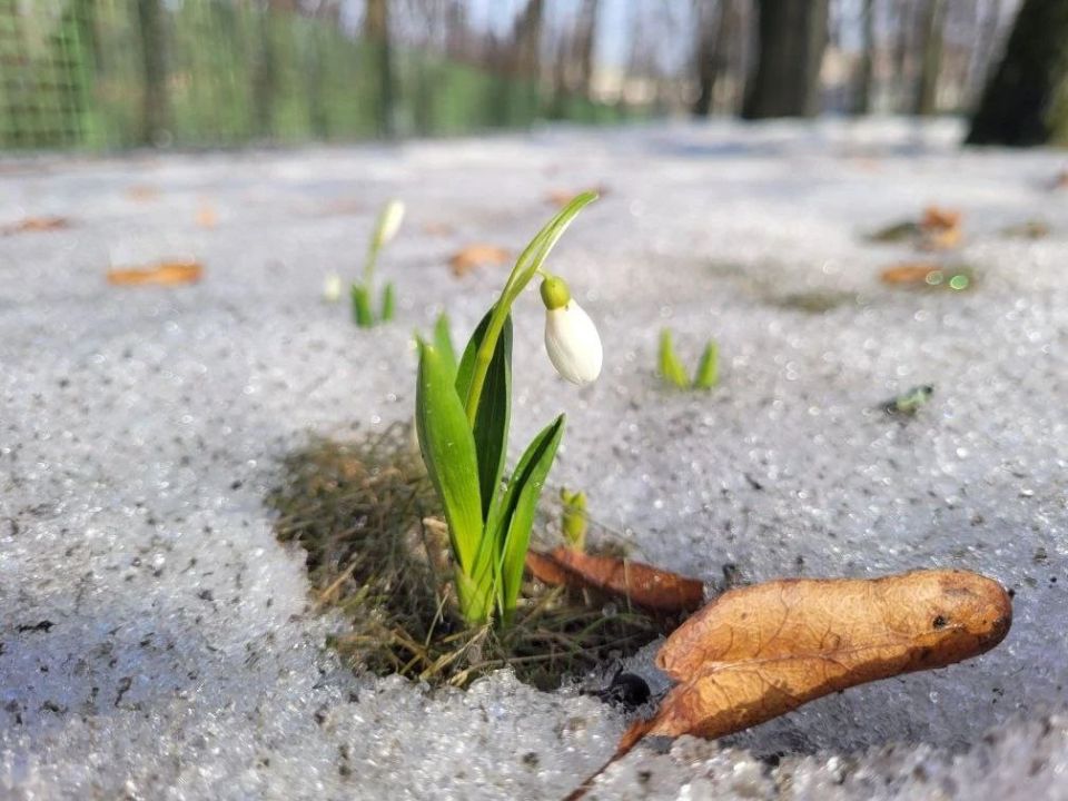 ����� ��������� � ��������� �� ���������