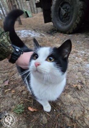 ��� ������: ������� ������ �������