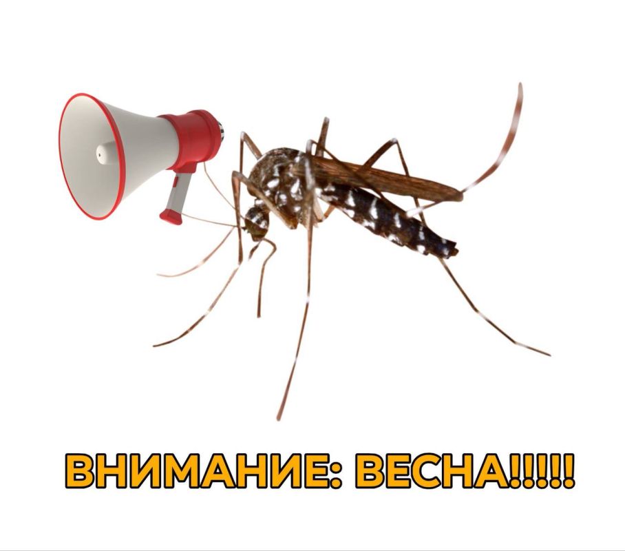 ����������� ��� ���� ���, �� � �������� ���������!