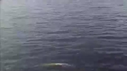 ���������� ��������� ����� ����� � ������������ ������ � ��������� �������: