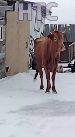 7. ���� ������������� ��������� ������ �����, � �� �����������