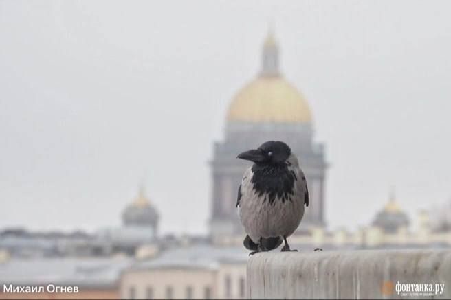 � ������ � ������ � ����� ������ �� �����, ����� �������� ������ ����