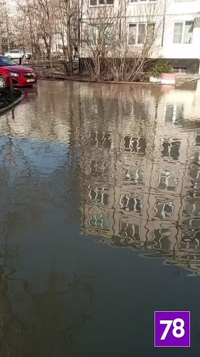 �������� ������� ����������� ��� ��������: �� ����� �� ��������� ��������� ��������� ����