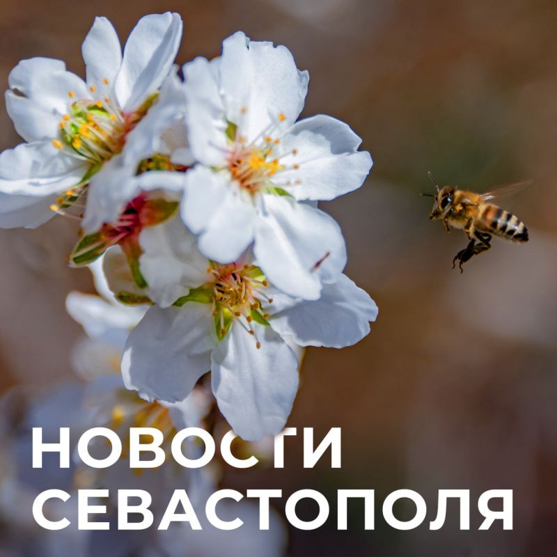 ������ ���������: ������� � �������:. ����������� �������� ���������: �������� ����������� ���������� �� ��������������� ����������� ������� ������