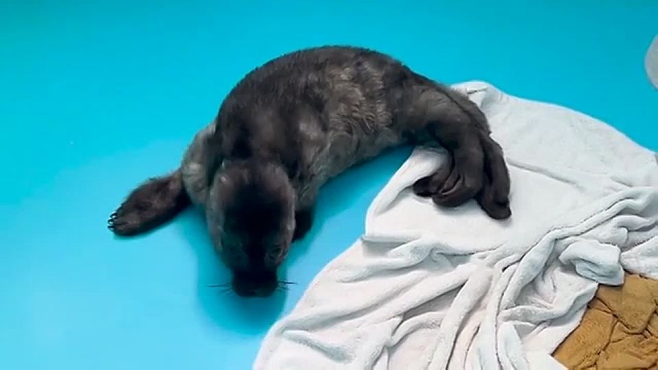 ��������� � ������������ �������� �������-�������� �������� ������