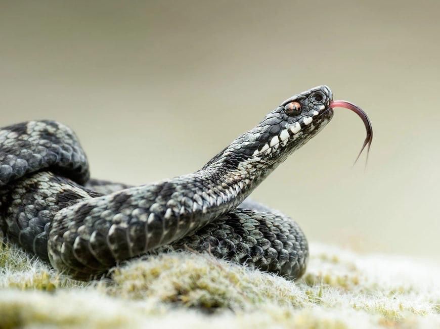  ���������� ����������� ��-�� ������ ����� ���������� ������