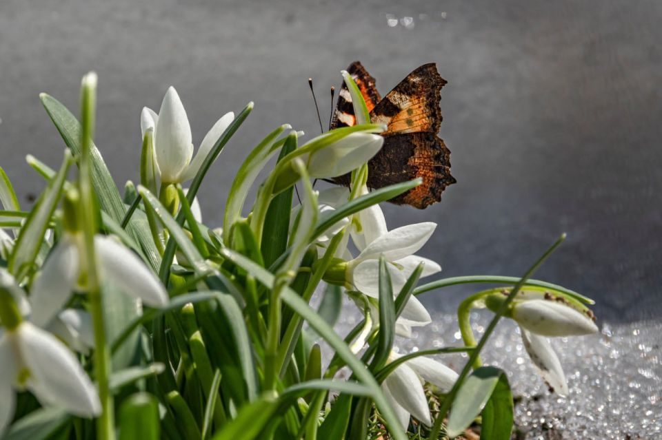 ������� ����������� � ���������� ����� ���������� � �������� �������