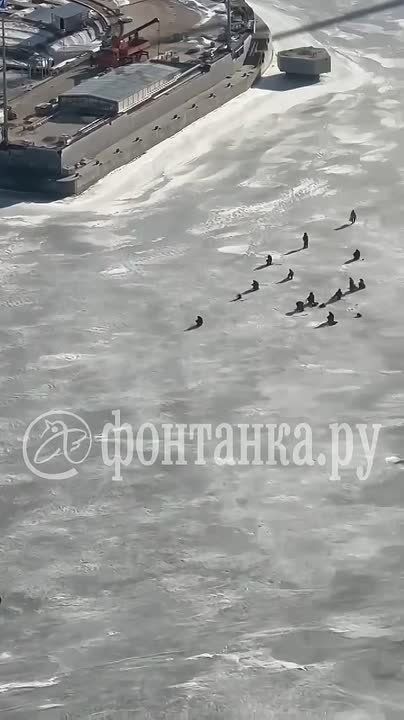 �� ������� ������ ����� ����� � ��� ����� �������� ��������� ���������